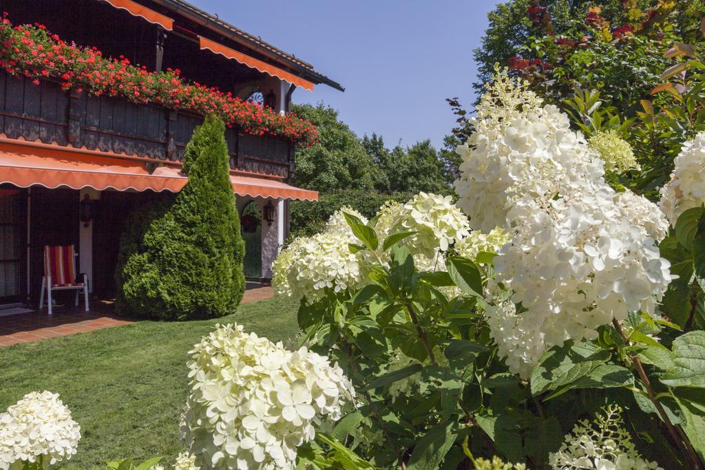 Hotel Alpina Hagnau Exterior foto